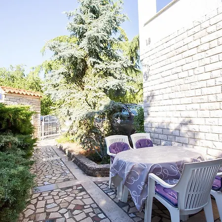 Adrijana 736 *