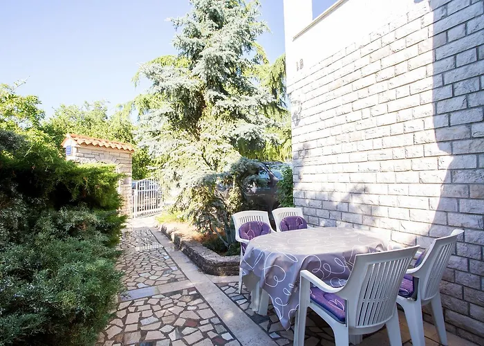 Adrijana 736 *